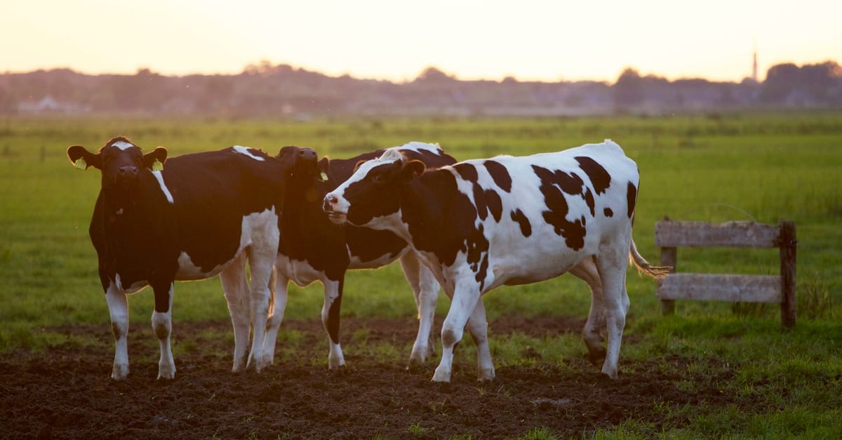 Farm and Rural Biosecurity Awareness
