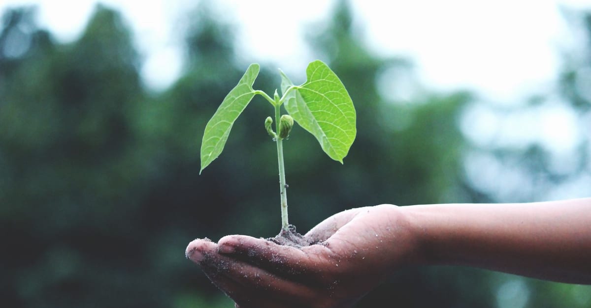 What Changed in ISO 14001:2026