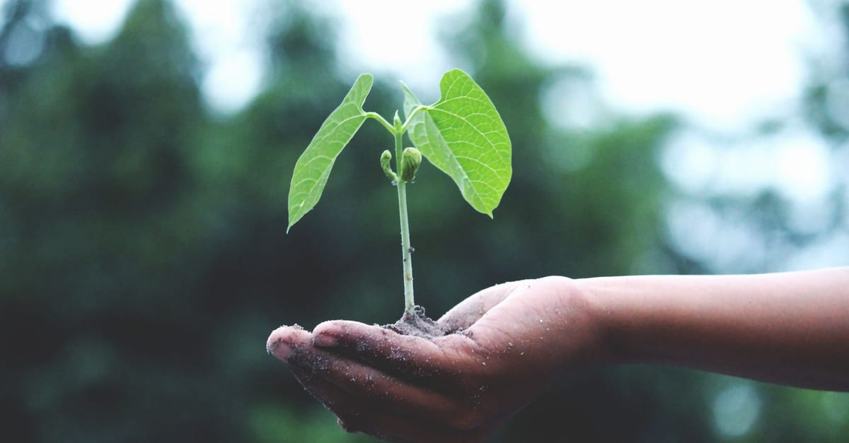 ISO 14001:2026 Environmental Management Systems Awareness